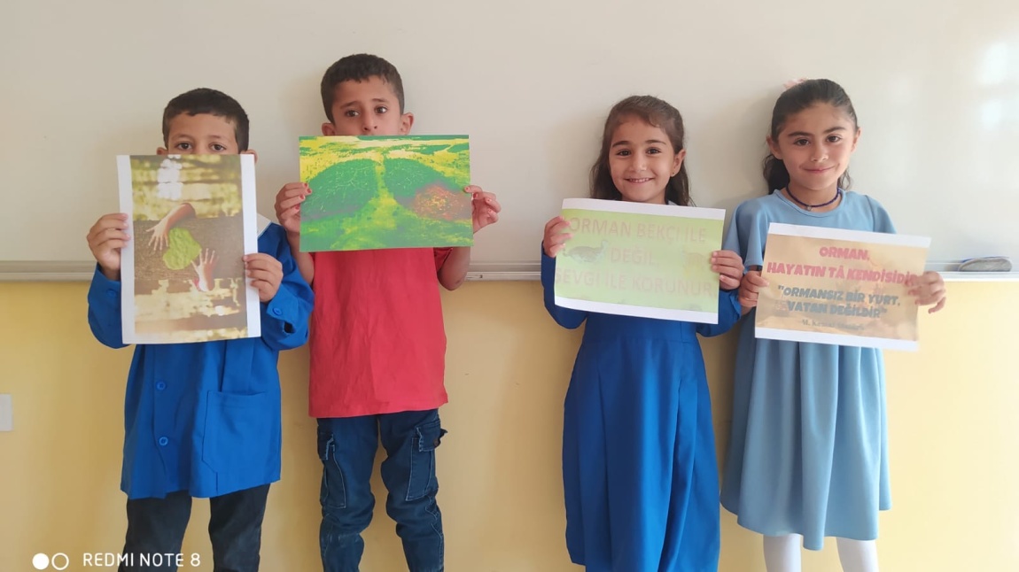 Yeşil Vatanımız Etkinlikleri